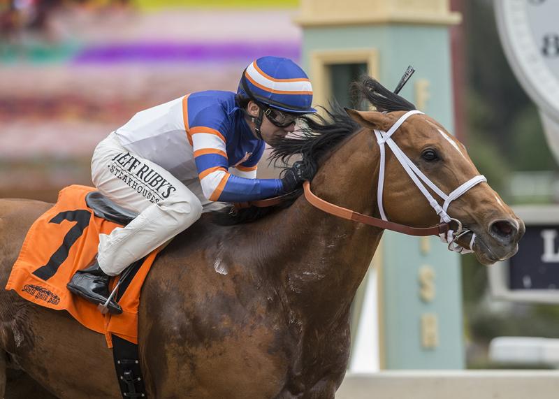 Joe Talamo guiding Tough Sunday to victory in Sensational Star Stakes. (BENOIT photo)